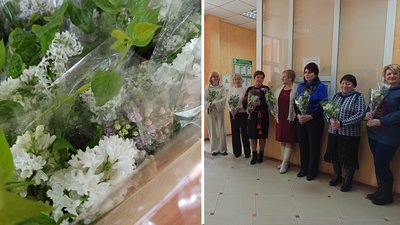 бузок бузок