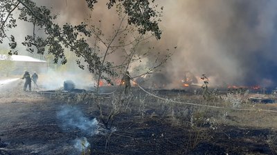 Пожежі в екосистемах на Харківщині: згоріли три дачні будинки