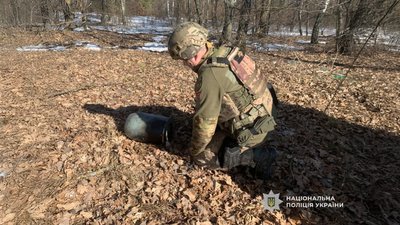 Безпілотник на Чернігівщині: вибухотехніки знешкодили бойову частину російського БпЛА