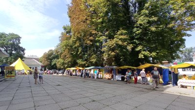 Бджолярі Полтавщини зібрали на 25% менше меду Бджолярі Полтавщини зібрали на 25% менше меду