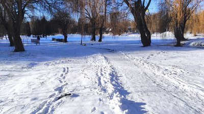 зима, сніг, лютий