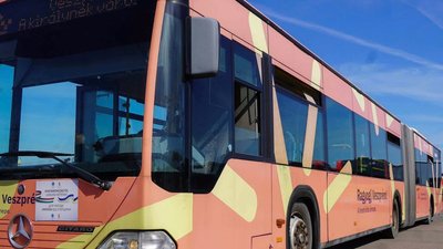 Автобус для Миколаєва від Ужгорода що відомо