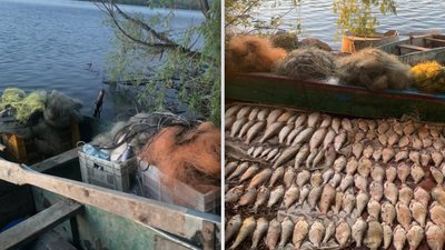 Порибалив на півмільйона. На Хмельниччині виявили браконьєра
