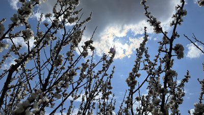 У вихідні на Полтавщині очікуються дощі: прогноз на 30–31 травня
