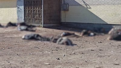 Мріє знову повноцінно ходити: історія чернігівки Ольги Бубри, яка рік тому потрапила під обстріл у черзі по хліб Мріє знову повноцінно ходити: історія чернігівки Ольги Бубри, яка рік тому потрапила під обстріл у черзі по хліб