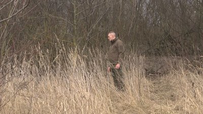 У лісі на Волині селяни знайшли залишки вбитого оленя У лісі на Волині селяни знайшли залишки вбитого оленя