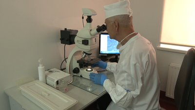 Кліщі Кліщі