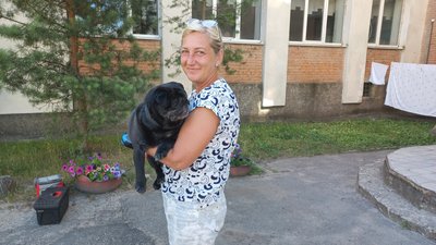У Полтавській громаді вакцинували від сказу тварин, яких евакуювали через війну У Полтавській громаді вакцинували від сказу тварин, яких евакуювали через війну