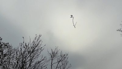 Як чергує антидроновий загін "Азову": репортаж Як чергує антидроновий загін "Азову": репортаж