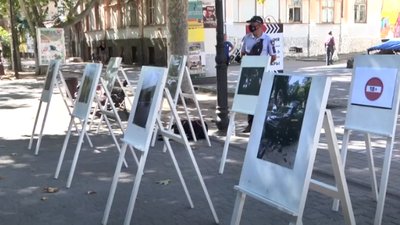Фотопроєкт "Без прикрас": херсонцям розповіли про наслідки недотримання правил дорожнього руху
