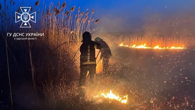 На Одещині від початку року сталося понад 500 пожеж сухої рослинності