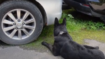 Тернопільські вибухотехніки розповіли про свої робочі будні — до 25-річчя створення служби Тернопільські вибухотехніки розповіли про свої робочі будні — до 25-річчя створення служби