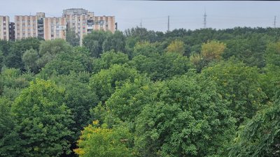 Небо перед дощем, вересень 2026 року, Хмельниччина