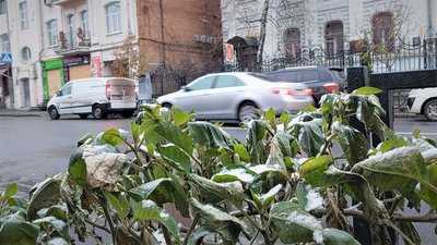 "Попереду — класична зимова погода": синоптик про другу половину зими на Харківщині