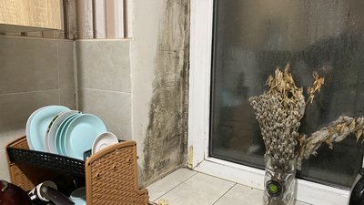 Без тепла і з пліснявою. Мешканці багатоповерхівки в Миколаєві чекають опалення вже 10 днів Без тепла і з пліснявою. Мешканці багатоповерхівки в Миколаєві чекають опалення вже 10 днів