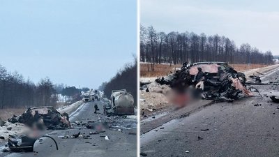 Житомир, ДТП, Пиріжки, 12 лютого 2026 року