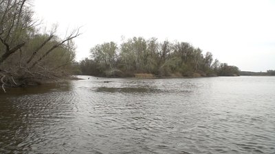 На Запоріжжі діє нерестова заборона на вилов риби На Запоріжжі діє нерестова заборона на вилов риби