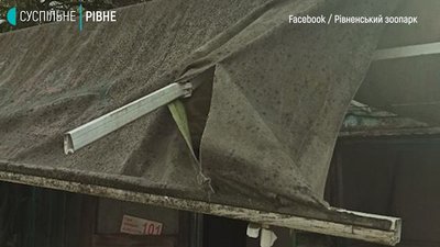Наслідки негоди: 74 населених пункти на Рівненщині залишились без світла