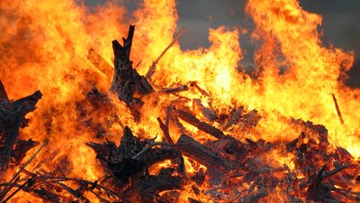 З початку року на пожежах в Україні загинуло 133 людини