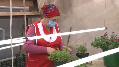 У Золотоноші на Черкащині розпочали підготовку до весняного озеленення міста У Золотоноші на Черкащині розпочали підготовку до весняного озеленення міста