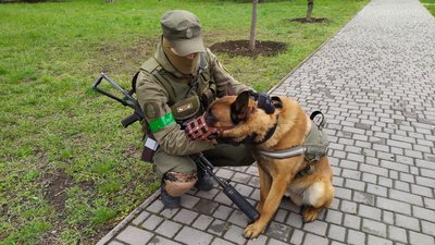 Трофейний собака. У Миколаєві почала служити вівчарка з розбитого підрозділу Росгвардії Трофейний собака. У Миколаєві почала служити вівчарка з розбитого підрозділу Росгвардії
