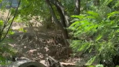 У Черкасах виявили скид зливових вод у Дніпро