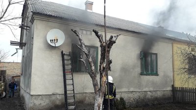 Львівські рятувальники винесли із пожежі кота Львівські рятувальники винесли із пожежі кота