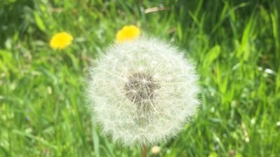 Спекотно, мінлива хмарність: прогноз погоди на Тернопільщині 3-5 липня
