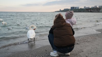 Цвітіння води, стоки та дрейфуючі міни: екологія Чорного моря очима експертів Цвітіння води, стоки та дрейфуючі міни: екологія Чорного моря очима експертів