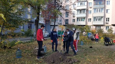 У Дніпрі волонтери висаджують дерева
