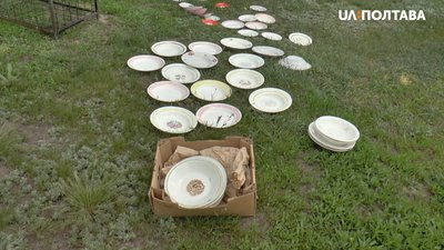 Фаянсові тарілки, що знайшли на смітнику Фаянсові тарілки, що знайшли на смітнику