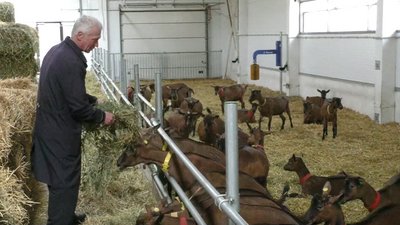 Сир для королеви: сировари з Херсонщини вирішили привітати Єлизавету II з ювілеєм Сир для королеви: сировари з Херсонщини вирішили привітати Єлизавету II з ювілеєм
