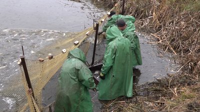риба черкаси риба черкаси
