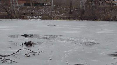 Аварія, самогубство та ледь не потонулі чоловіки: як минули перші вихідні 2021 в Сумах