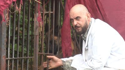 Начальник першого військового шпиталю ветеринарної медицини Кирило Чумаков каже, що ребцентр у старій котельні буде свого роду стаціонарним відділенням шпиталю. Начальник першого військового шпиталю ветеринарної медицини Кирило Чумаков каже, що ребцентр у старій котельні буде свого роду стаціонарним відділенням шпиталю.