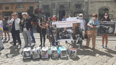 Активісти у Львові вимагали відкрити притулок для тварин
