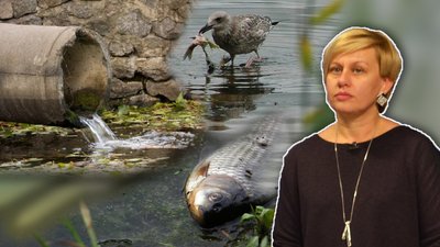 Каналізування приватного сектору Житомира: експерти пояснили, чим шкодять екології вигрібні ями