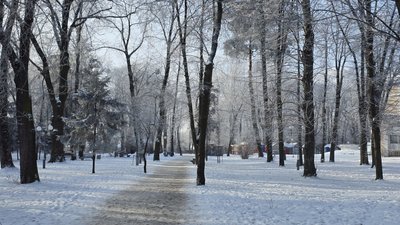 Парк імені Леонтовича
