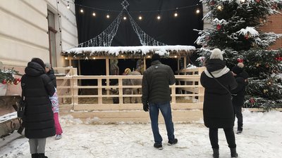 На Франківщині облаштували різдвяну шопку з живими тваринами. Що каже зоозахисниця На Франківщині облаштували різдвяну шопку з живими тваринами. Що каже зоозахисниця