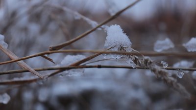 Якою буде погода на Івано-Франківщині 12 січня