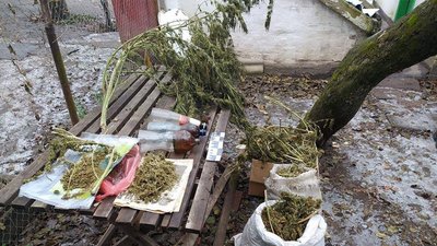 "Купив будинок з коноплею": у черкащанина поліція виявила майже п'ять кілограмів наркотиків
