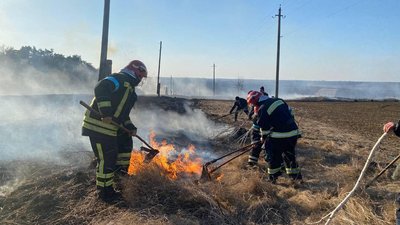 На Вінниччині за добу загасили 77 пожеж в екосистемах На Вінниччині за добу загасили 77 пожеж в екосистемах