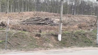 Окупанти показали масштаби вирубки лісів при будівництві дороги до Ялти