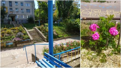 Опале листя жителі одного з будинків Світловодська використовують, як мульчу