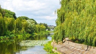 У Рівному в річці Устя знайшли тіло чоловіка, якого добу шукала дружина