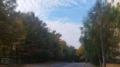 Листя пожовкло на деревах, жовтень 2026 року, Хмельницький