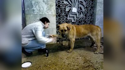 "Поки росіяни калічать життя, українці –рятують". Історія родини переселенців з Харкова "Поки росіяни калічать життя, українці –рятують". Історія родини переселенців з Харкова