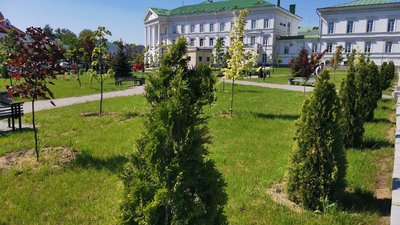 "Нова стратегія озеленення міста»: європейські практики запровадять у Полтавській громаді "Нова стратегія озеленення міста»: європейські практики запровадять у Полтавській громаді