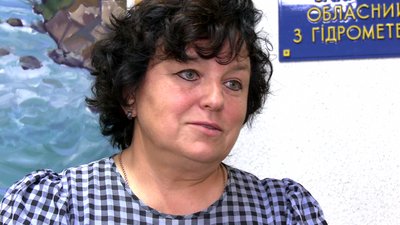 Чому міліють річки Закарпаття та як це впливає на водойми Чому міліють річки Закарпаття та як це впливає на водойми