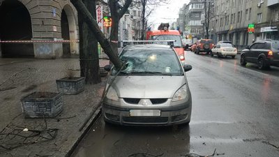 У Харкові від вітру впало сім дерев: одне пошкодило машину в центрі міста У Харкові від вітру впало сім дерев: одне пошкодило машину в центрі міста